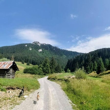 Drevenica Harmony Villa Ruzomberok Eksteriør billede