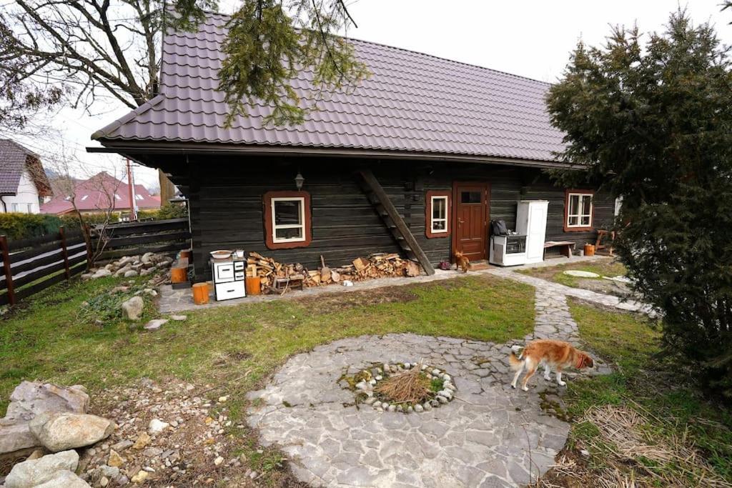 Drevenica Harmony Villa Ruzomberok Eksteriør billede